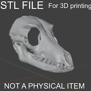 May include: A 3D-rendered model of a canine skull, presented in a neutral gray color. The image includes the text "STL FILE For 3D printing" and "NOT A PHYSICAL ITEM".