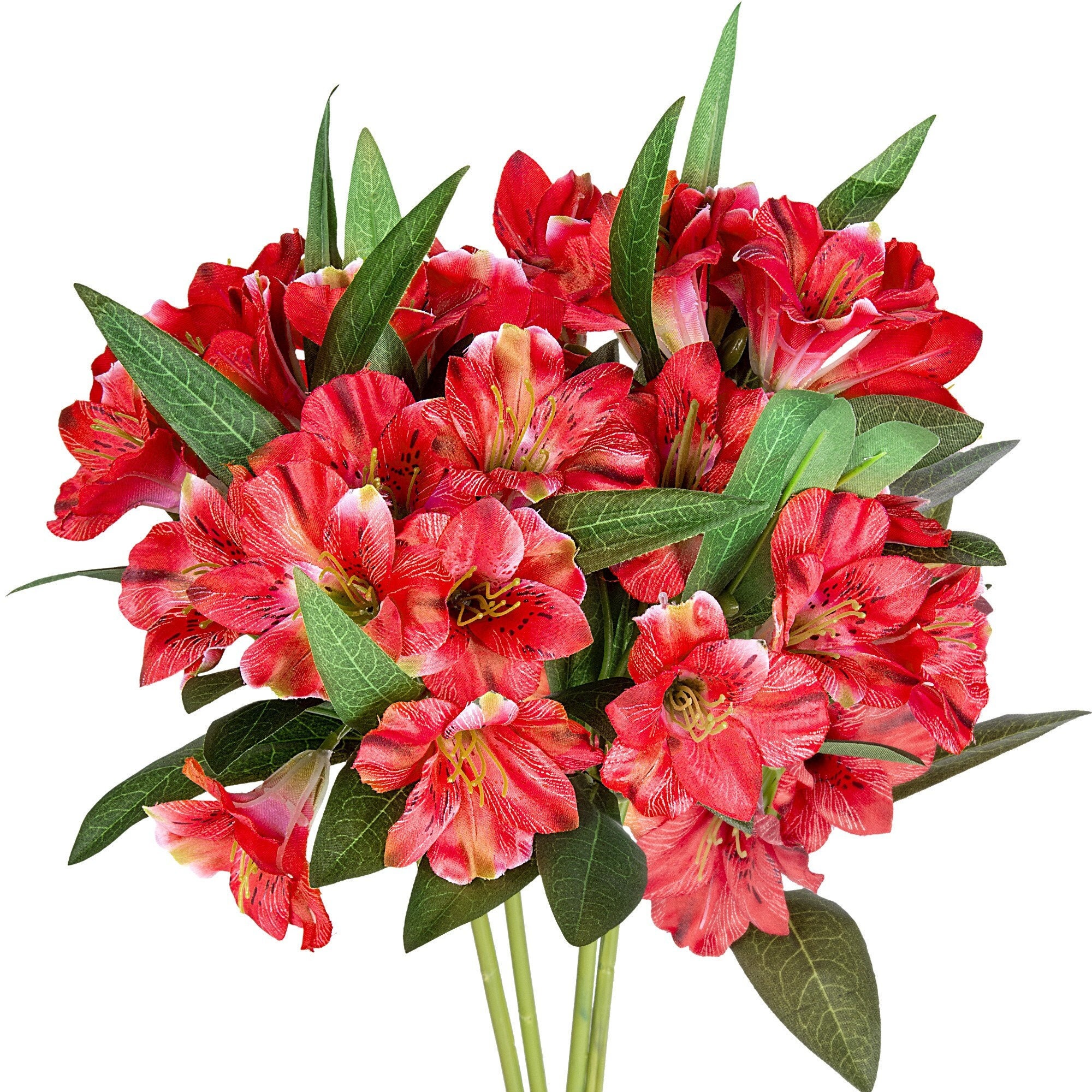 Etsy - Alstroemeria