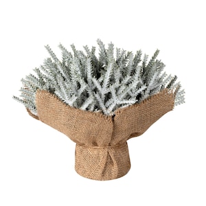 May include: A decorative arrangement of frosted evergreen branches wrapped in a burlap fabric. The branches are a mix of green and white, creating a wintery look. The burlap adds a rustic touch to the overall design, suitable for home decor.