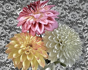 Dahlia Photography, Flower Photography, Fine Art Photograph, Wall Art, Multi Color, Elegant