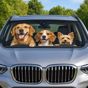 Parasol para coche con foto personalizada: visera personalizada para SUV o camioneta: regalo de verano para el auto.