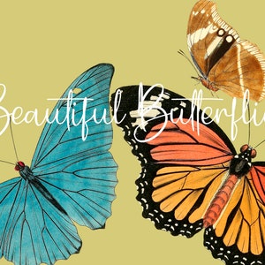 Vintage Butterflies PNG, ideal for scrapbooking, decoupage on painted furniture,fabric sublimation printing & other projects