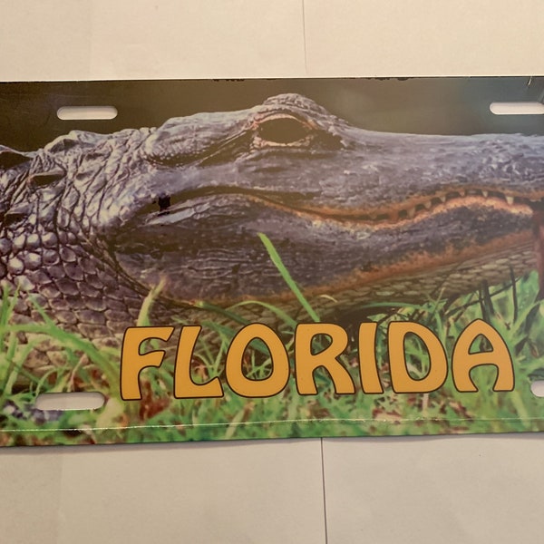 Florida License Plates Etsy