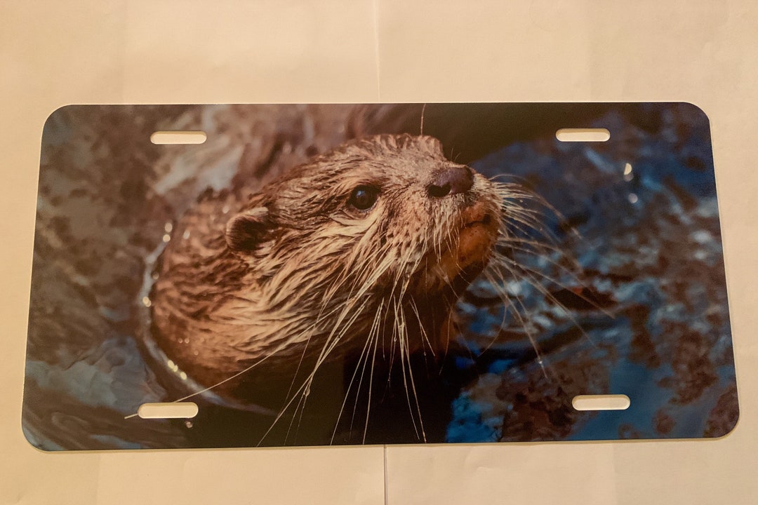 Outstanding Otter Premium License Plate. Made in the USA Etsy