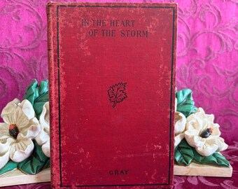 Ca 1902 In the Heart of the Storm. A Tale of Modern Chivalry by Maxwell Gray