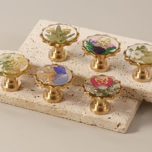 Könnte beinhalten: Ein Set aus sechs dekorativen Schrankknöpfen mit Messingbasen und transparenten, blütengefüllten Oberteilen. Jeder Knopf hat eine andere Anordnung von getrockneten Blumen, darunter grüne Blätter und violette Blütenblätter.