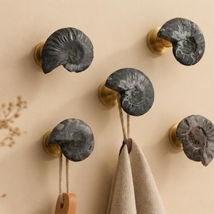 May include: Five decorative wall hooks featuring a fossilised ammonite design. The hooks are dark grey with brass-coloured bases. One hook holds a beige towel. The hooks are mounted on a light beige wall.
