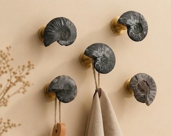 Black nautilus shell fossils entryway hook/ boho wall hook Coat Hangers Racks Hooks Decorative Wall Hooks Gift Hook Hardware