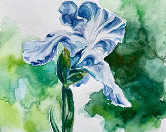 Spring Up - Pintura de acuarela original, arte floral, ilustración botánica Arte de pared, esteras sin marco disponibles