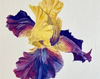 Iris Germanica III - Pintura de acuarela original, arte floral, ilustración botánica, arte mural, con paspartú sin marco disponible