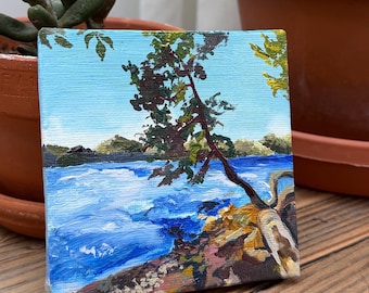 Bajo el árbol de madroño - Mini pintura al óleo original sobre lienzo estirado de 4"x4"