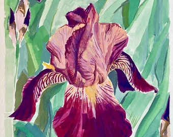 Iris germanica - Iris Flor Acuarela Gouache Pintura