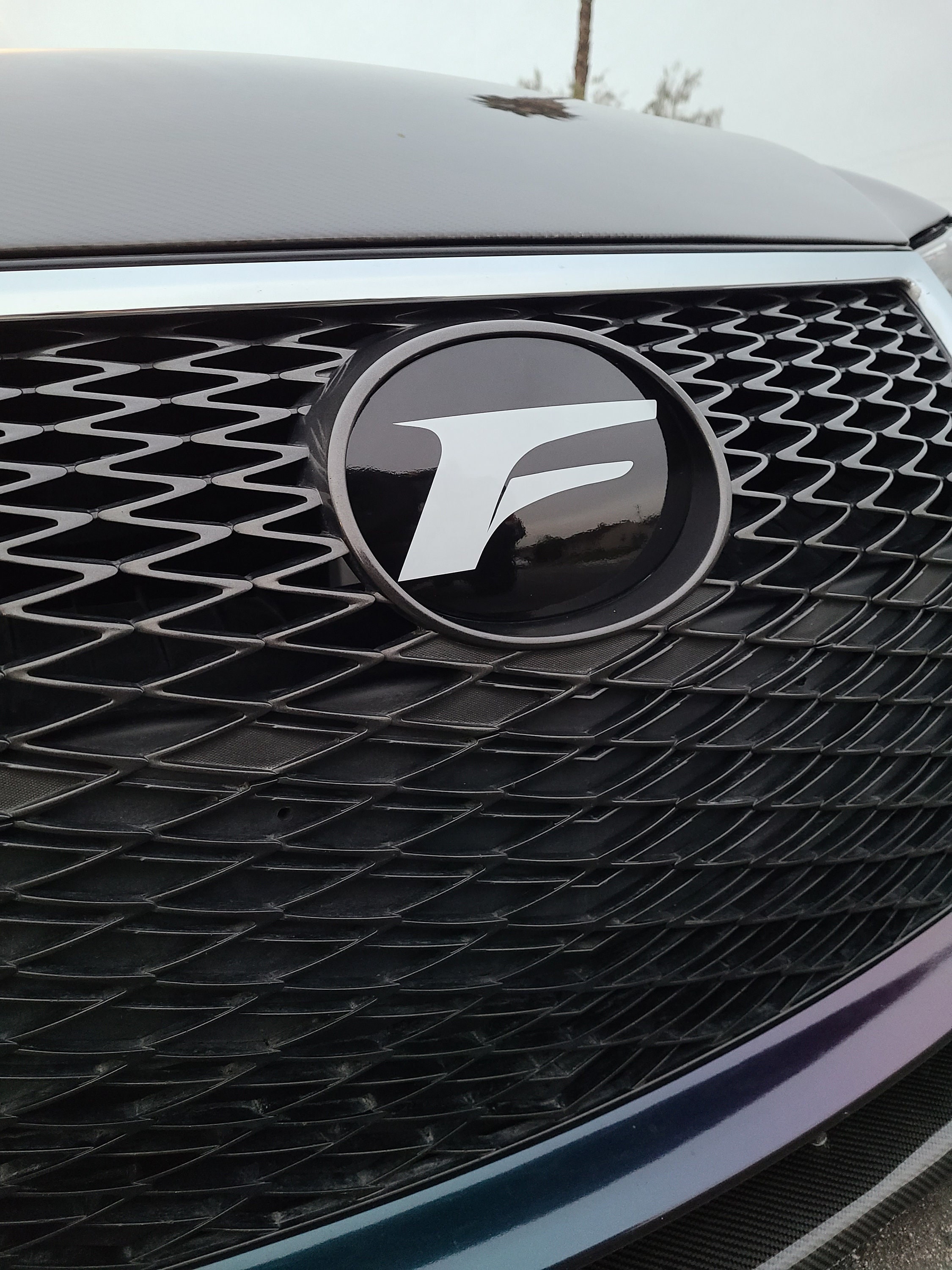 Lexus Emblem Front Vinyl Overlay F-Sport | IS, ES, NX, rx - Etsy 日本