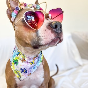 Deadhead Disco Dog Bandana, Grateful Dead Dog Bandana, Grateful Dead Pet Scarf, Stocking stuffer, Gifts for dog owners, Dog neckwear