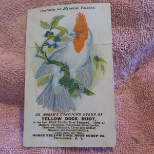May include: Vintage advertisement for Dr. Morse's Compound Syrup of Yellow Dock Root, featuring a white bird with a red crest perched on a branch with blue berries. The text reads: "Contains no Mineral Poisons. Dr. Morse's Compound Syrup of Yellow Dock Root, Is the best Blood Purifier Ever Prepared. Cures all Humors, Dyspepsia, Biliousness, Constipation, Dizziness, Headache, Liver and Kidney Diseases, and General Debility. -PREPARED BY THE- MORSE YELLOW DOCK ROOT SYRUP CO. PROVIDENCE, R. I."
