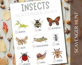 Insect Scavenger Hunt Game, Nature Trail Activity (PDF)