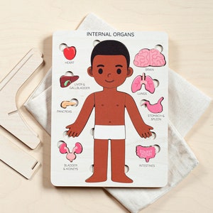 Human body puzzle, Montessori toys, Toddler toys, Anatomy wooden puzzle, Pretend play, Human anatomy, Preschool kids toys, Gifts for kids