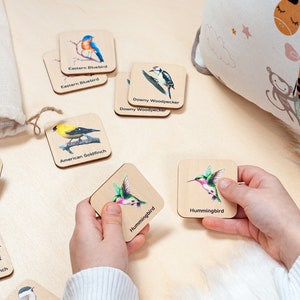 Bird toys, Birds matching cards, Montessori educational material, Homeschool preschool cards, Educational toys, Wooden kids toys Dinosaurs+Transport