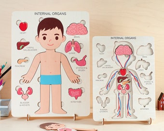 Human body puzzle Montessori toys 3 years old Toddler toys Wooden puzzle kids Anatomy puzzle Human anatomy Preschool toys