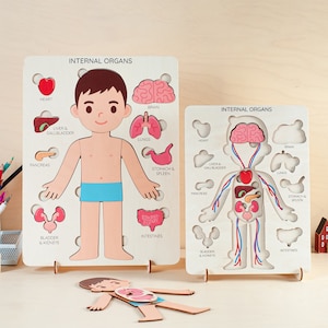 Learning Human Anatomy for Kids, Human Body Puzzle, Montessori Toys, Wood Toddler Toy, Anatomy Puzzle, Preschool Toy, 3 4 5 Years Old Gift