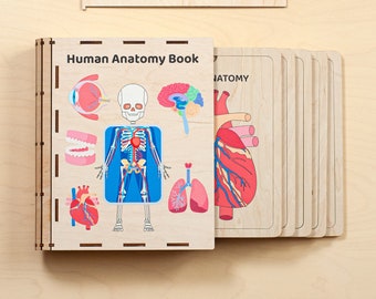 Human Organs puzzle, Toddler Montessori toys, Human anatomy, Homeschool Curriculum, Montessori activity book, Anatomy puzzle, Learning Toys