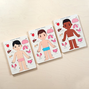 Learning human body puzzle for boys, anatomy puzzle for kids, montessori toys, wooden preschool anatomy, gift for kids, toddler gift idea