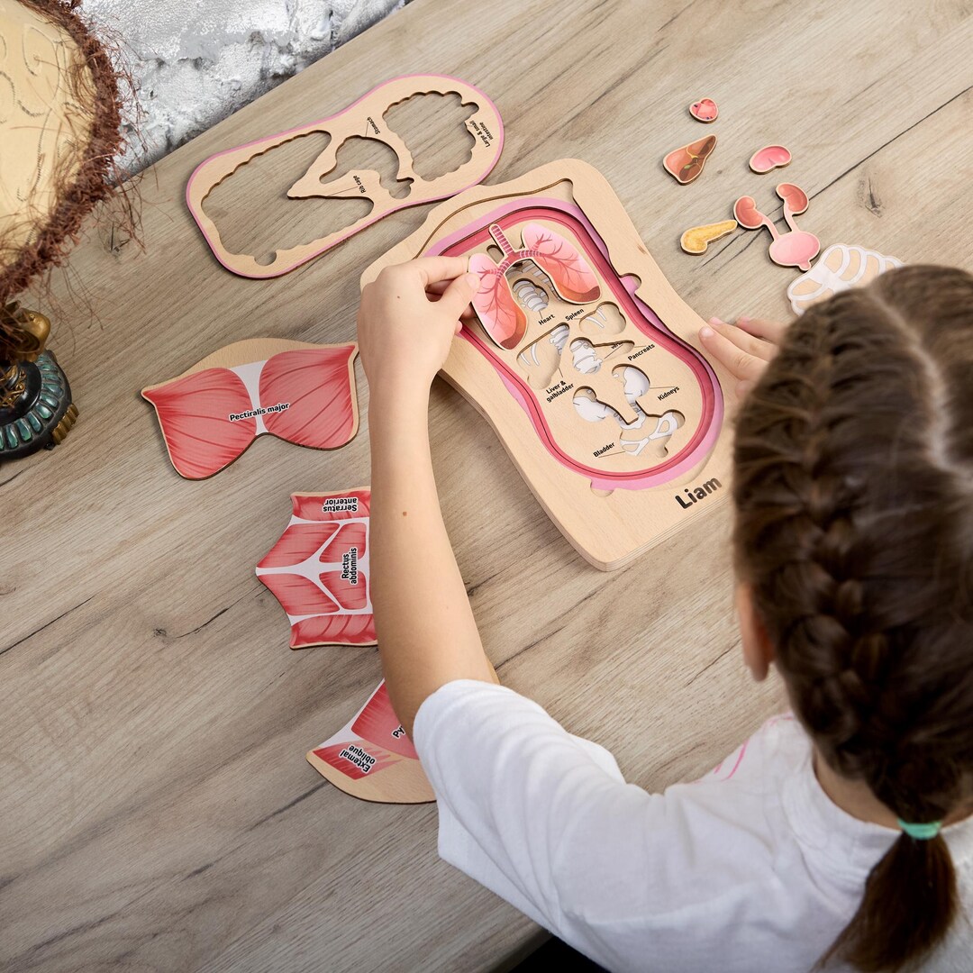 Layered Wooden Human Anatomy Puzzle, Montessori Body Organs Toy ...