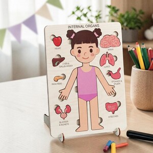 A wooden puzzle depicting the internal organs of a young girl, with various labeled parts such as the heart, brain, lungs, liver, gallbladder, pancreas, spleen, and rectum.