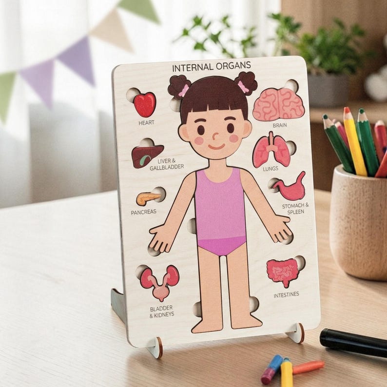 A wooden puzzle depicting the internal organs of a young girl, with various labeled parts such as the heart, brain, lungs, liver, gallbladder, pancreas, spleen, and rectum.
