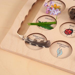May include: A light-colored wooden nature scavenger hunt board featuring circular cutouts labeled with text and illustrations. Items placed in the circles include purple flowers, green grass blades, a brown and white spotted feather, and a ladybug.