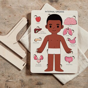A wooden puzzle depicting the internal organs of a human body, with a young boy figure as the central element.