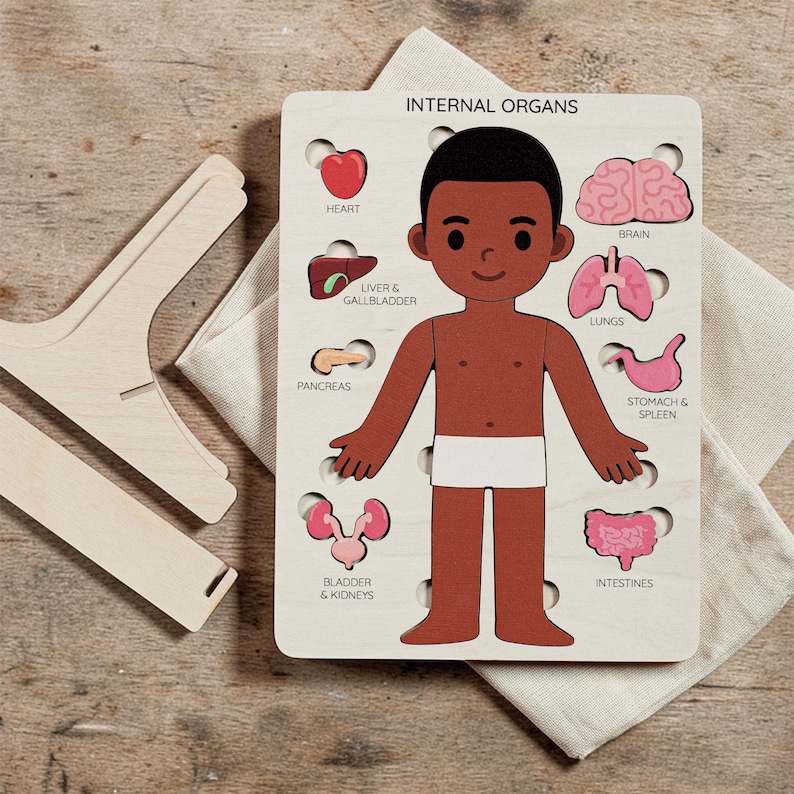 A wooden puzzle depicting the internal organs of a human body, with a young boy figure as the central element.