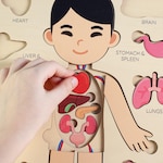 Educational Toys
