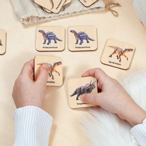 Cartes assorties de dinosaures, jouets Montessori, cadeau pour un enfant de 3 ans, jouets éducatifs, cartes mémoire de dinosaures uniques, jouets en bois pour enfants, cadeau pour tout-petit