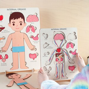 Montessori toys, human body puzzle, toddler toys wooden human puzzle kids anatomy puzzle human anatomy preschool anatomy gifts for kids toys image 2