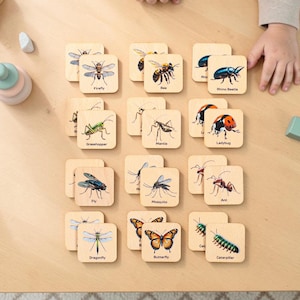 May include: A set of square wooden tiles featuring colorful illustrations of various insects and their names printed in black text, including a firefly, bee, rhino beetle, grasshopper, mantis, ladybug, fly, mosquito, ant, dragonfly, butterfly, and caterpillar.