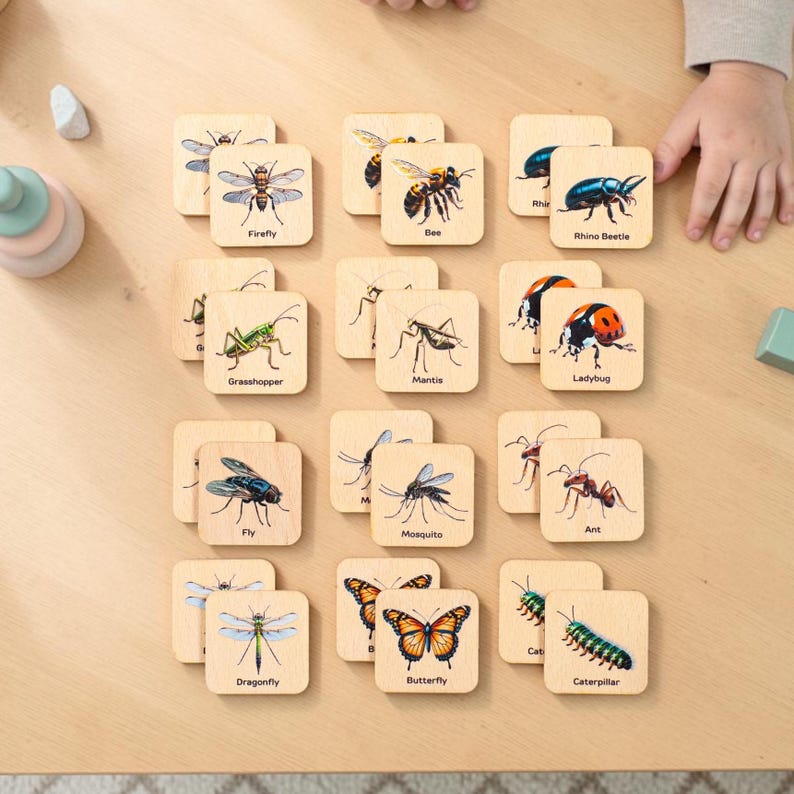 May include: A set of square wooden tiles featuring colorful illustrations of various insects and their names printed in black text, including a firefly, bee, rhino beetle, grasshopper, mantis, ladybug, fly, mosquito, ant, dragonfly, butterfly, and caterpillar.