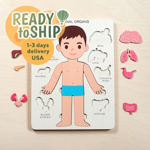 Montessori toys, Human body puzzle, Toddler toys, Wooden human puzzle, Kids anatomy puzzle, Human anatomy preschool, Educational toy gift