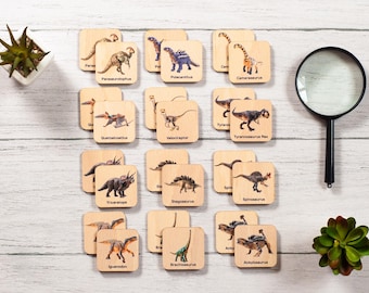 Wooden Dinosaurs Toys and Games, Montessori Toys, Learning Dinosaurs Matching Cards, Boys 2nd Birthday Gift, Montessori Materials Toddler