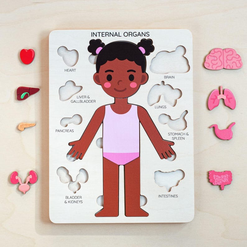 Wooden puzzle featuring a child's body with labeled internal organs. The puzzle includes removable pieces representing the heart, brain, lungs, and other organs. The text "INTERNAL ORGANS" is at the top. The child figure is wearing a pink leotard.