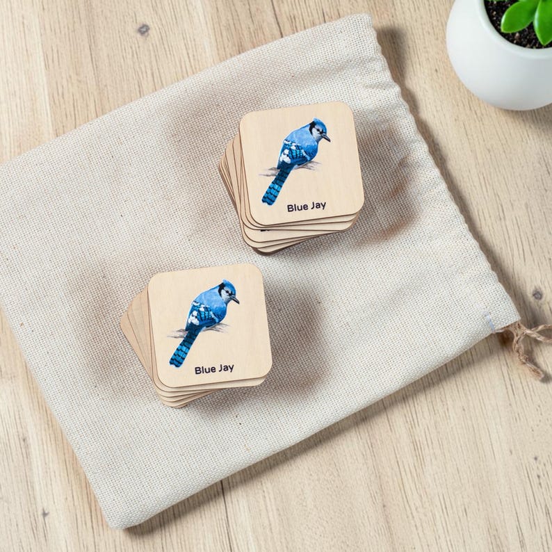 May include: Two stacks of square wooden tiles featuring a printed illustration of a blue jay bird. Each tile displays the bird in profile with blue, white, and black plumage, accompanied by the text Blue Jay printed in black at the bottom corner.