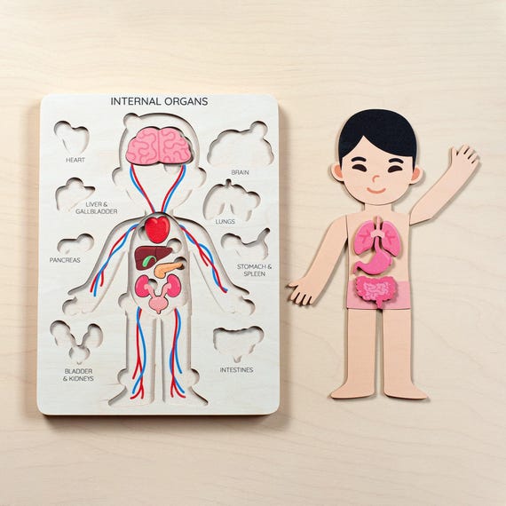Wooden Human Anatomy Puzzle, Montessori Toddler Organ Parts Toy, Educational Learning Gift