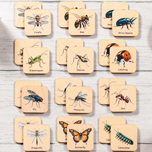 Insectes assortis de cartes flash, jeu de mémoire montessori, activité préscolaire à la maternelle pour les enfants à la maison, cadeau pour tout-petit, école de la forêt