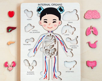 Anatomy puzzle for 2 year old kids, Montessori toys, Human body puzzle, Toddler toys, Human anatomy preschool, Educational toys, Baby gift
