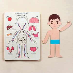 Kids anatomy puzzle, human body puzzle, montessori toys, toddler toys, wooden human puzzle, human preschool anatomy