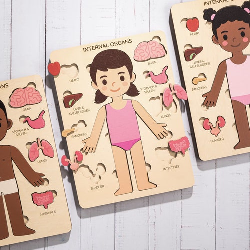 Montessori Wooden Body Parts Jigsaw Puzzle/ Wood Anatomy Human - Etsy