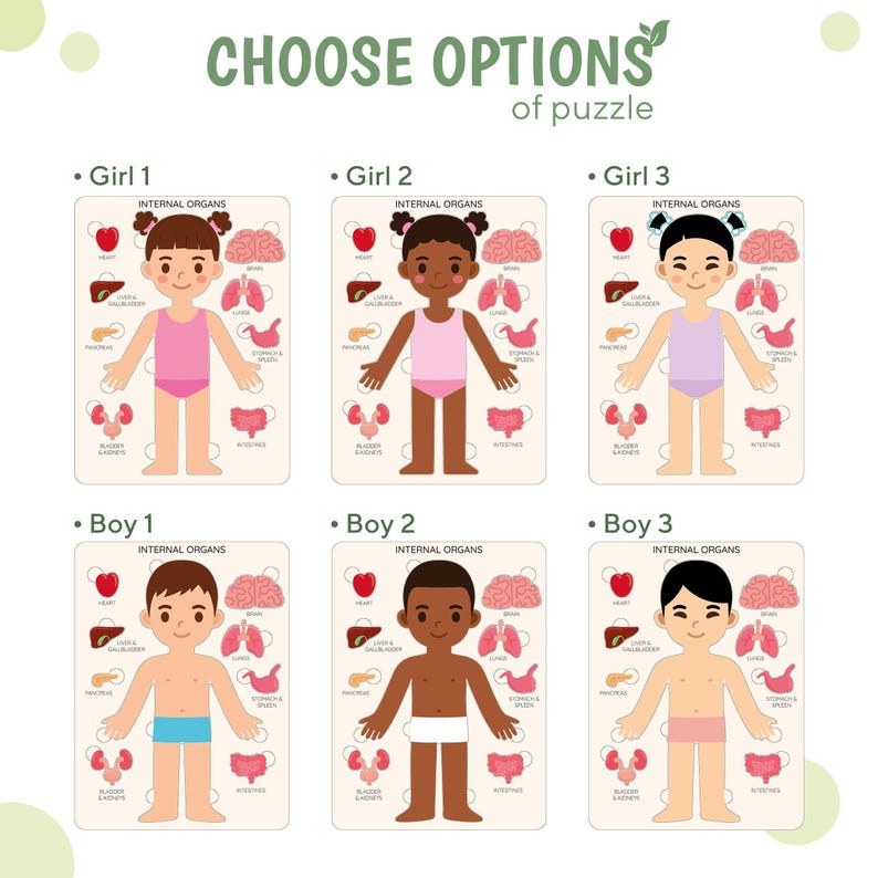 Wooden Human Anatomy Puzzle, Montessori Toddler Organ Parts Toy, Educational Learning Gift image 5