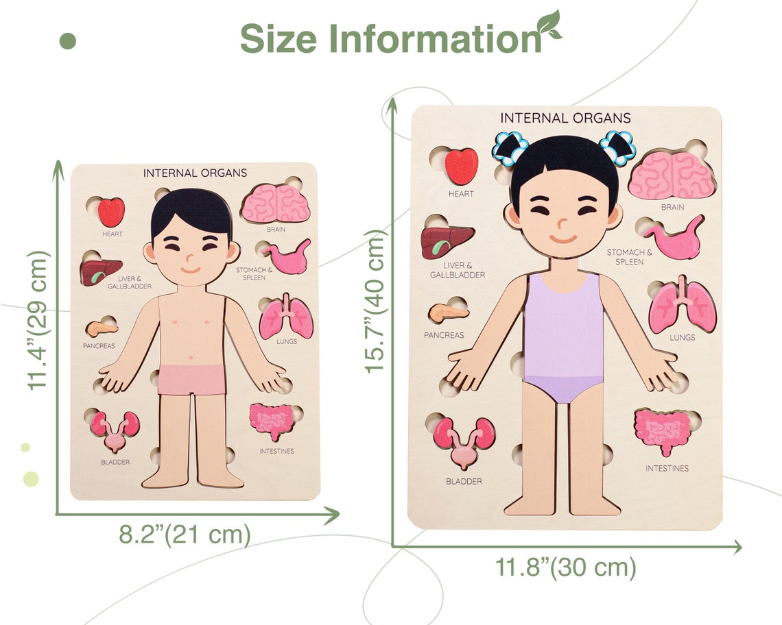 Montessori Toys Human Body Puzzle Toddler Toys Wooden Human - Etsy