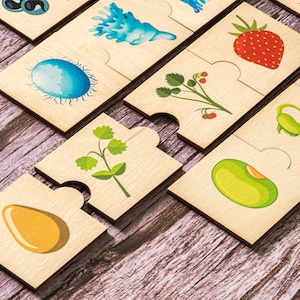 Cycle de vie, Jouets Montessori pour 2 3 4 ans, Puzzle, Cartes assorties pour l'école à la maison, Cadeaux pour enfants, Jouets pour tout-petits, Jouets pour enfants, Grenouille