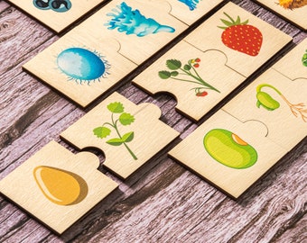 Life Cycle, Montessori toys for 2 3 4 years old, Jigsaw puzzle, Homeschool Matching Cards, Gifts for kids, Toddler toys, Kids toys, Frog